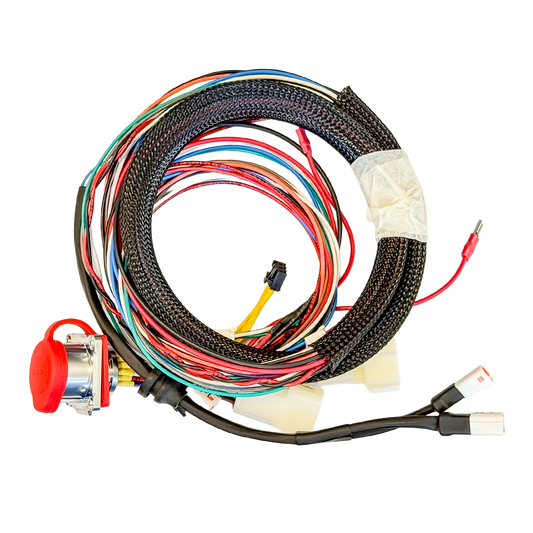 Connector Harness 24 PTS BACK F